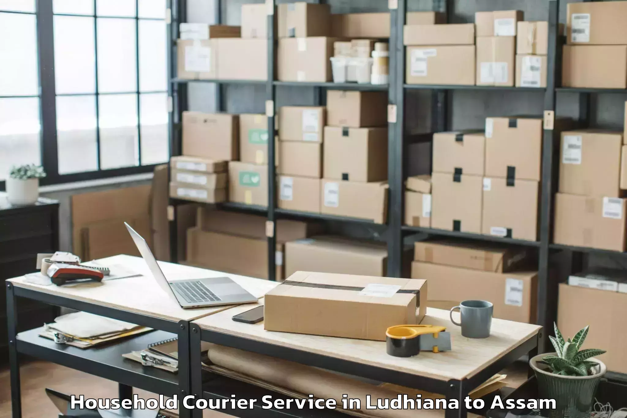 Expert Ludhiana to Dhuburi Household Courier